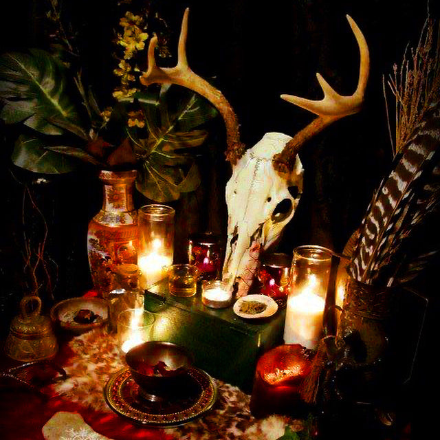 Yuletide collection