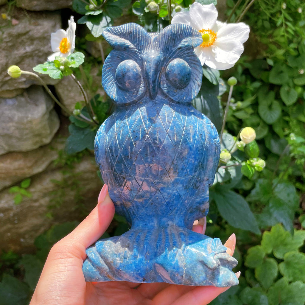 Lapis Lazuli Owl Carving XL Specimen