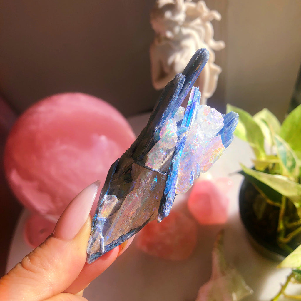 Angel Aura Blue Kyanite in Quartz Specimen