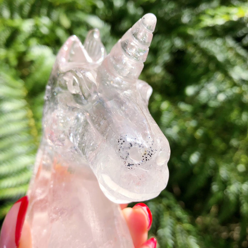 Unicorn Clear Quartz Crystal