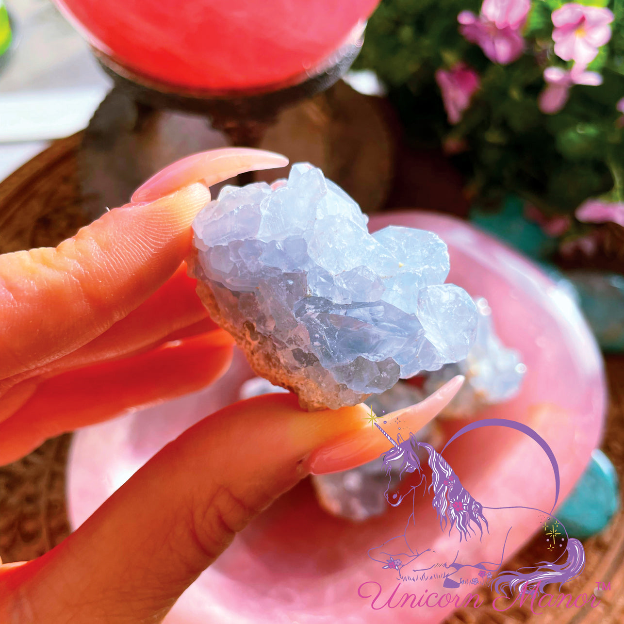 Celestite Baby Crystal Cluster