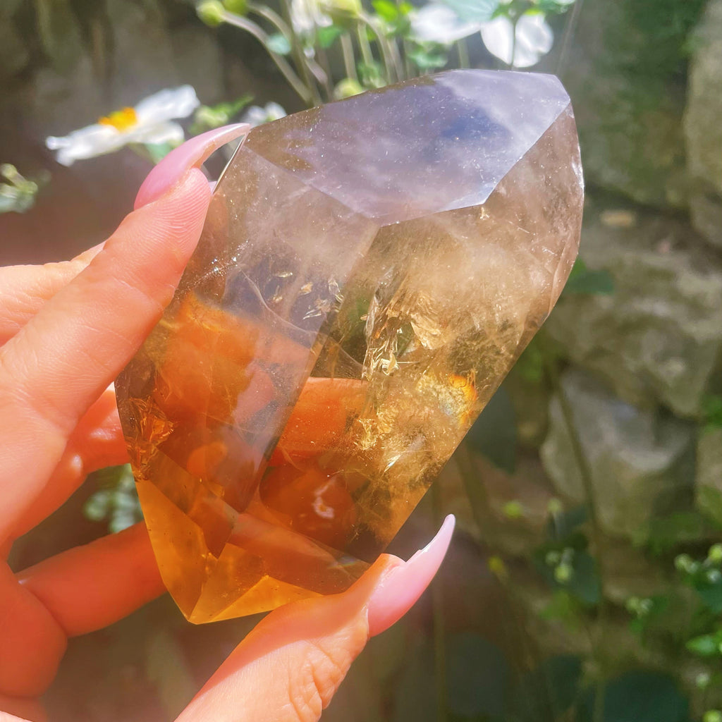 Natural Smoky Citrine Double Terminated Point XL #1