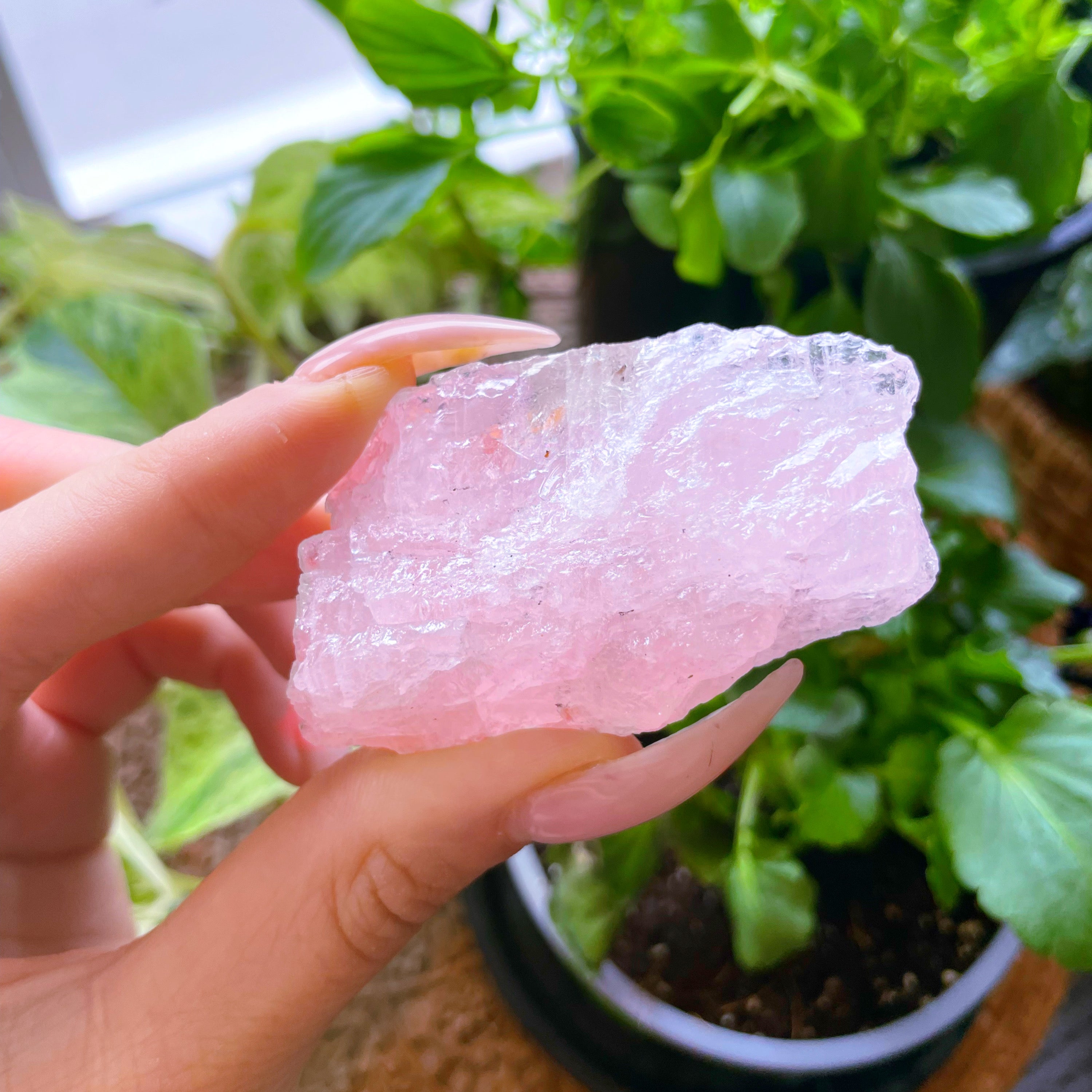 High grade Morganite crystal raw specimen