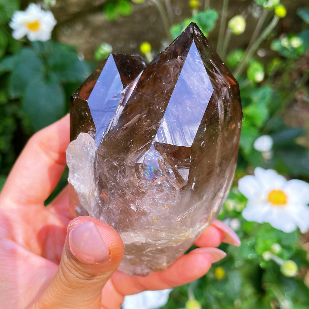 Smoky Quartz Natural Double Terminated Twin Flame Enhydro Rainbow Inclusions #1