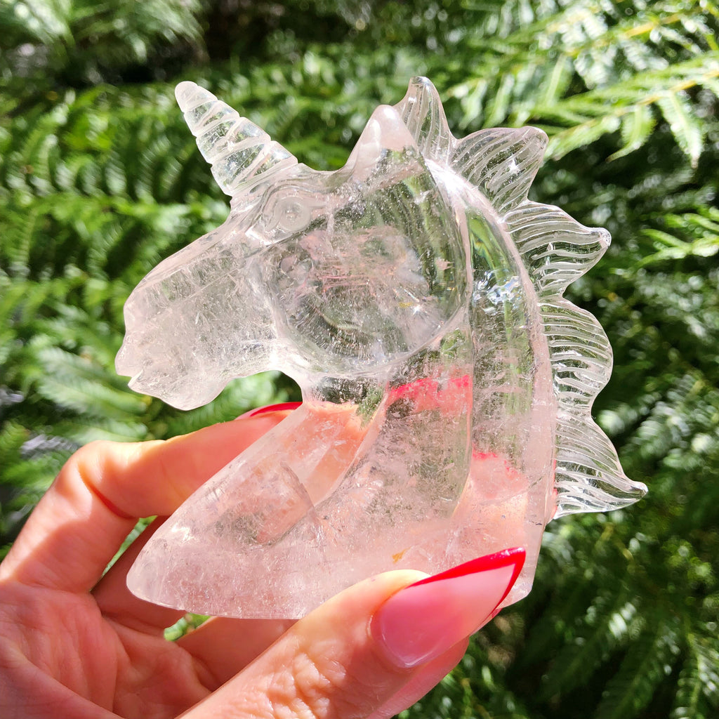 Unicorn Clear Quartz Crystal