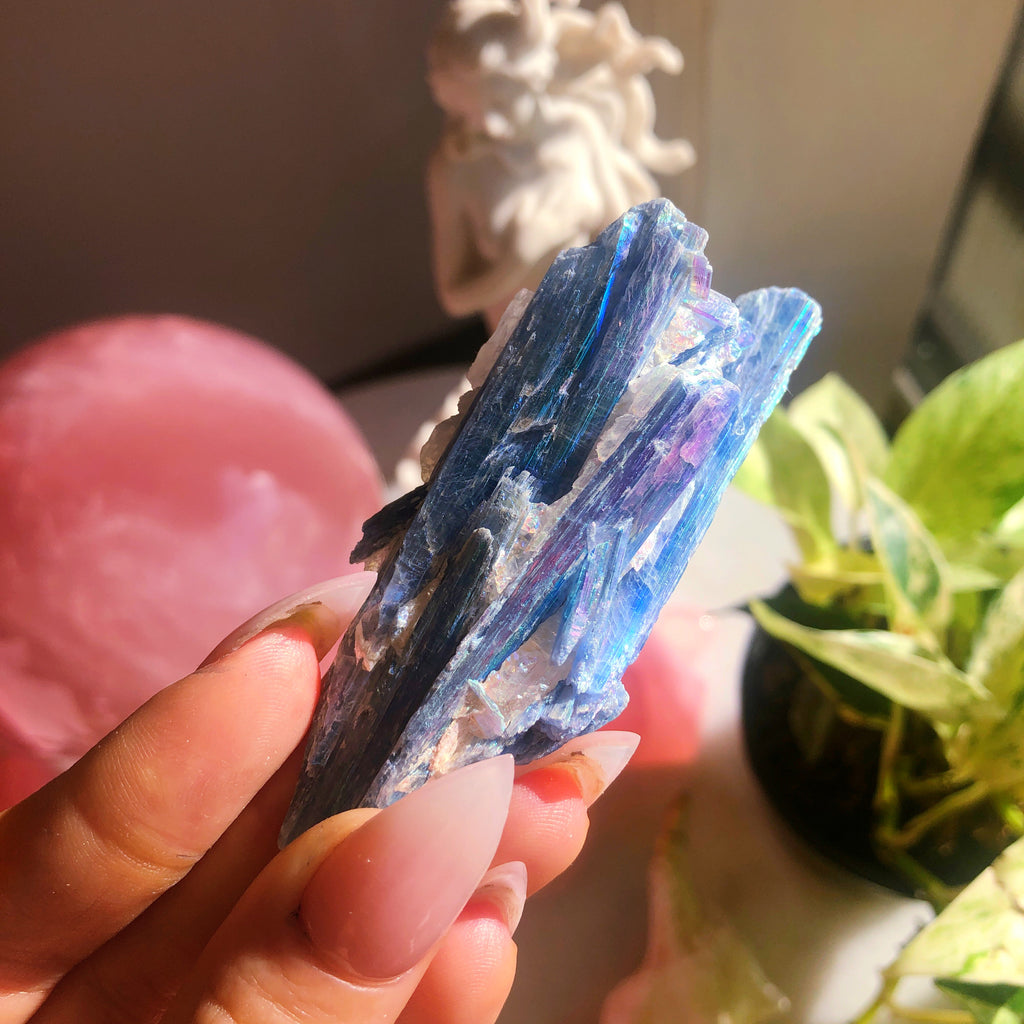 Angel Aura Blue Kyanite in Quartz Specimen
