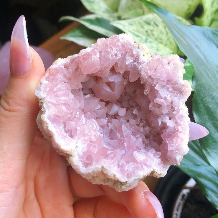 Pink Amethyst Crystal Specimen #1