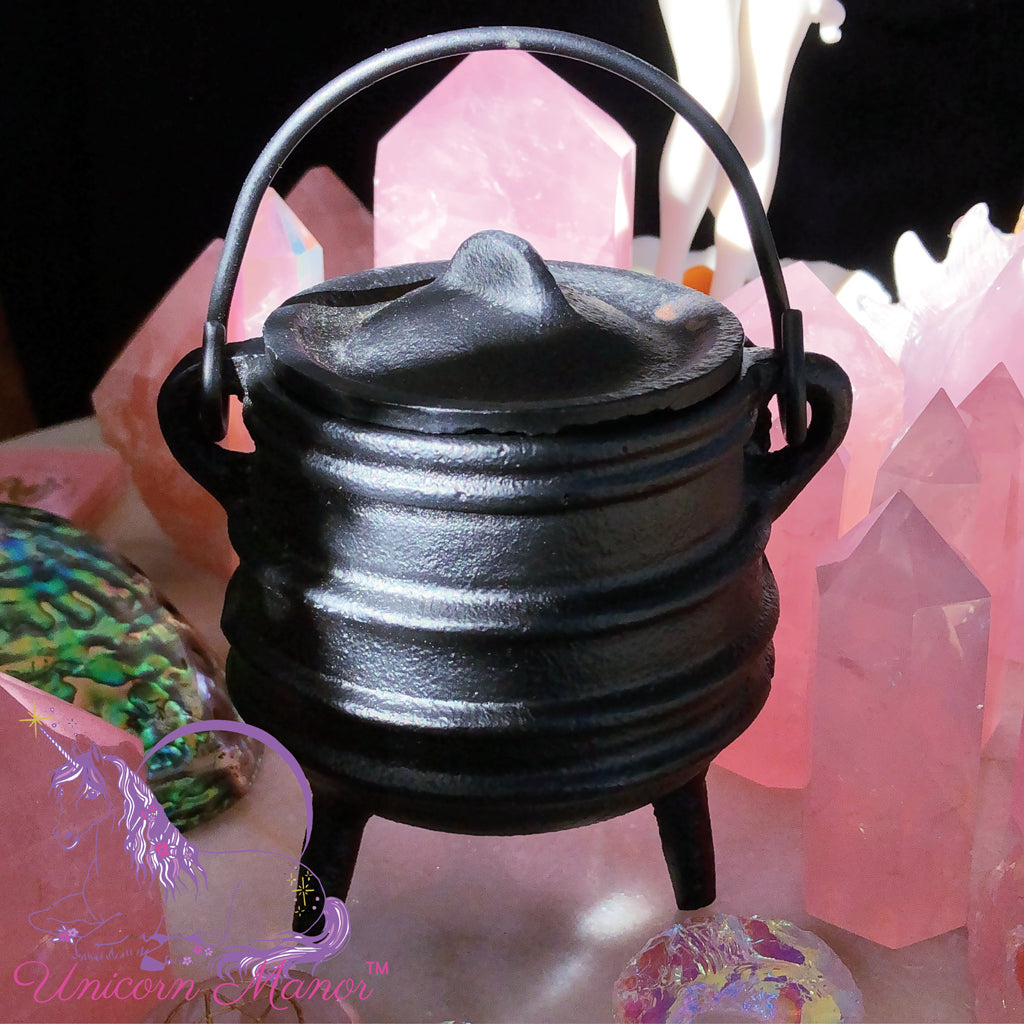 Small Cast Iron Cauldron with Lid – The Ninth House